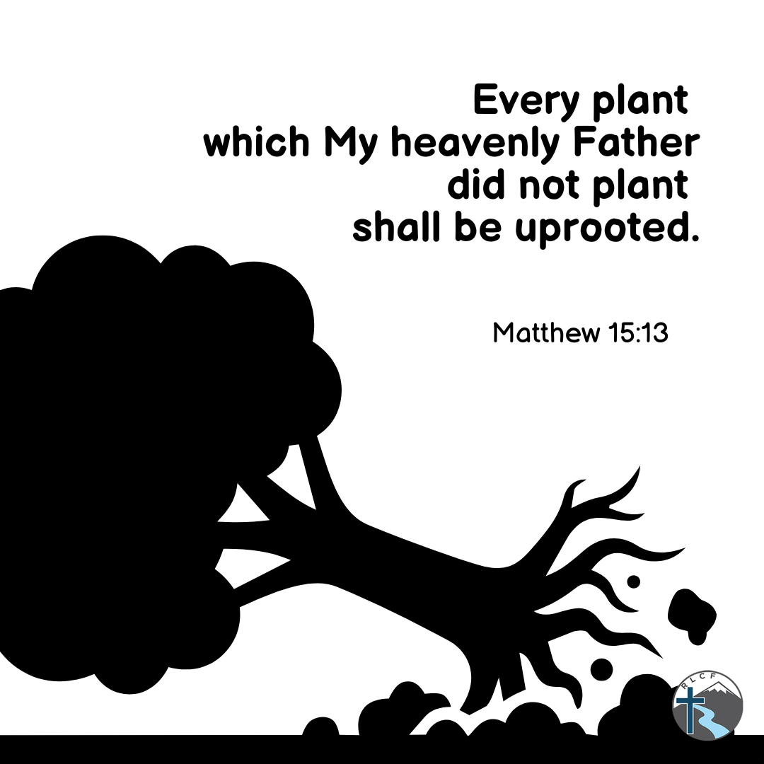 "Every plant which My heavenly Father did not plant shall be uprooted." —Matthew 15:13, NASB
