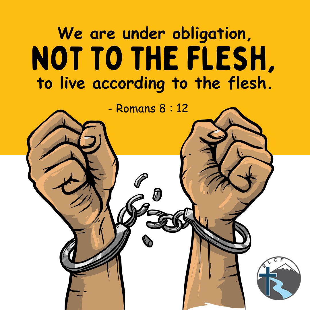 "We are under obligation, not to the flesh, to live according to the flesh" —Romans 8:12, NASB