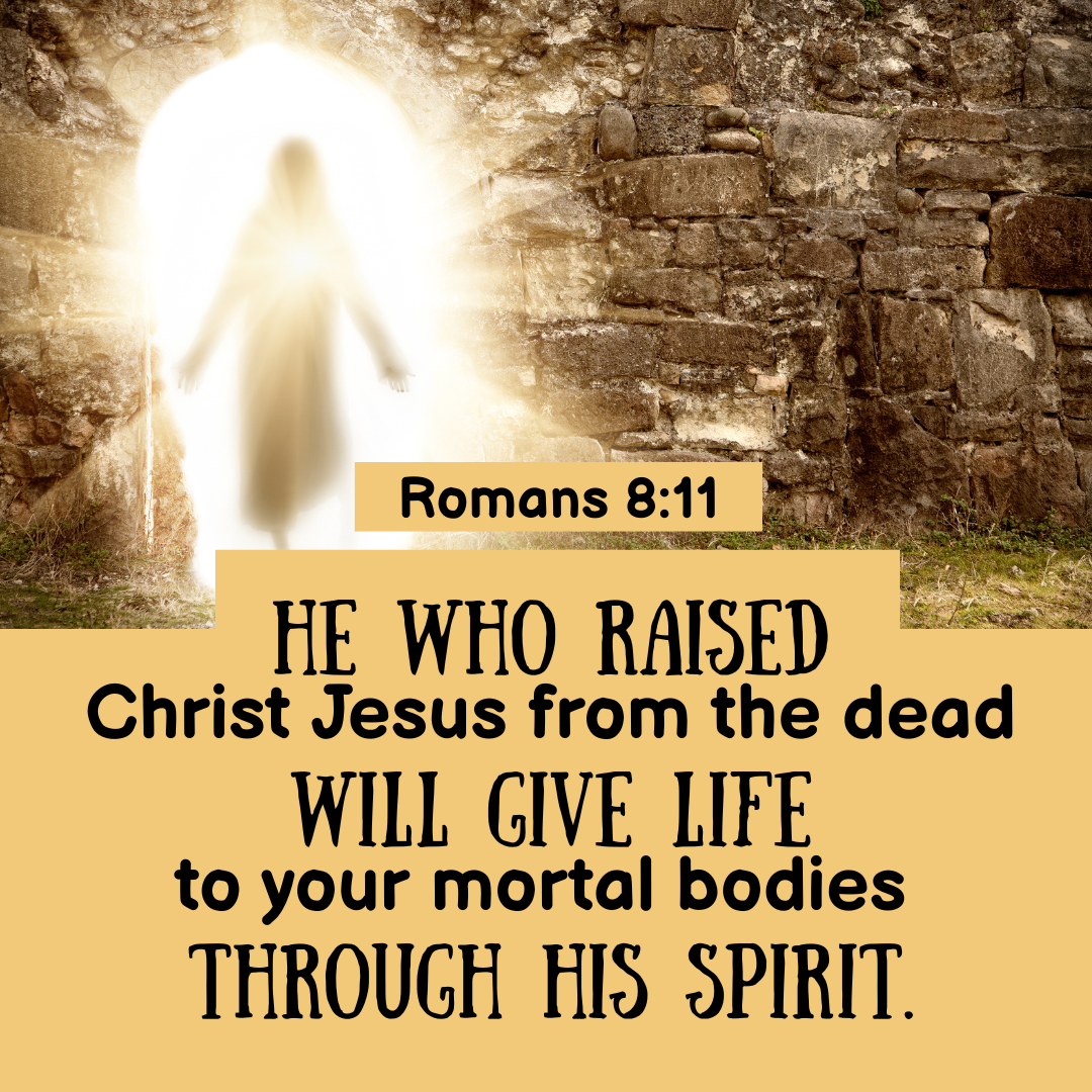 "He who raised Christ Jesus from the dead will give life to your mortal bodies through His Spirit." —Romans 8:11, NASB