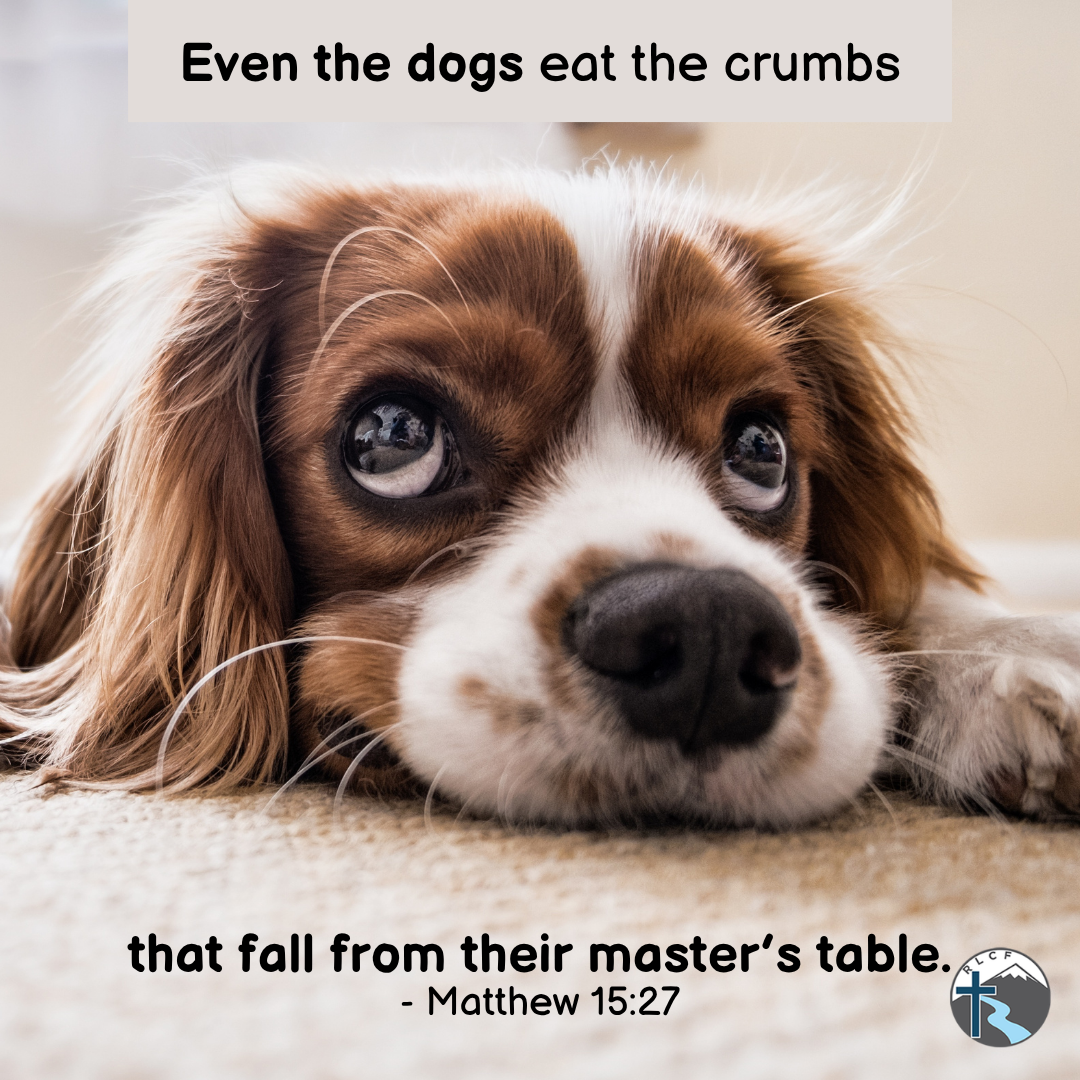 "Even the dogs eat the crumbs that fall from their master's table." —Matthew 15:27, NASB