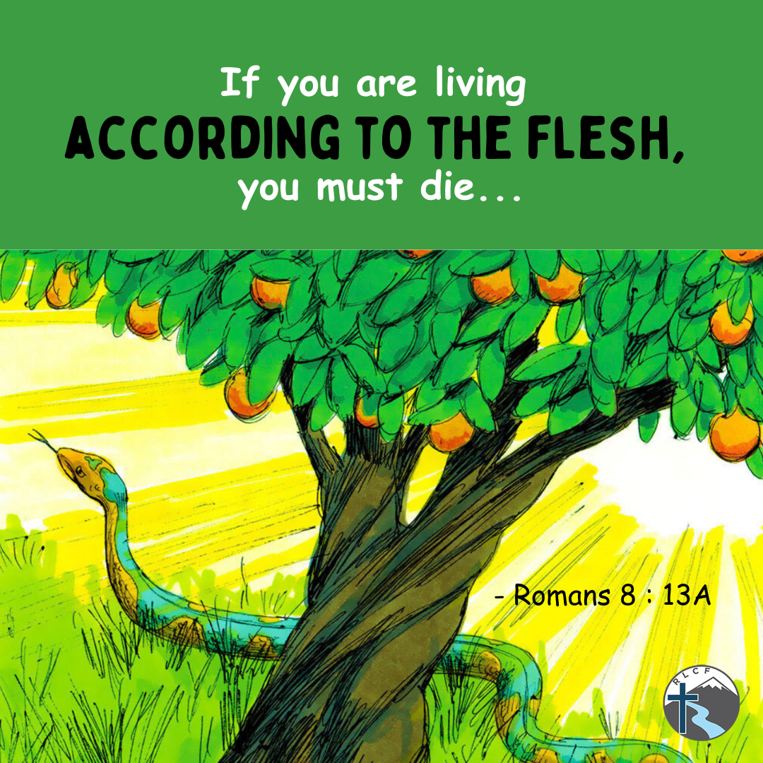 "If you are living according to the flesh, you must die..." —Romans 8:13a, NASB