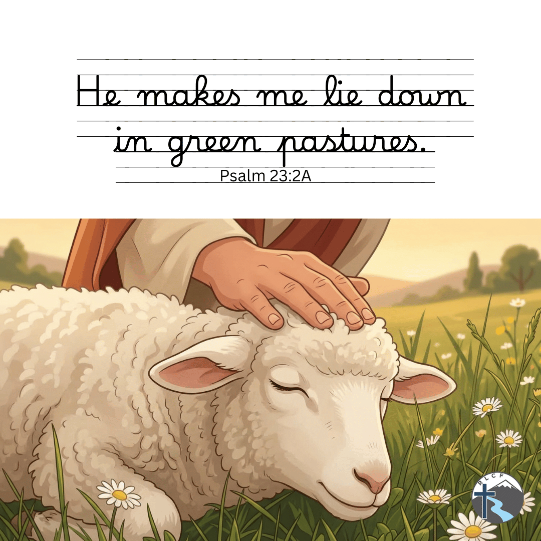 "He makes me lie down in green pastures..." —Psalm 23:2A, NASB
